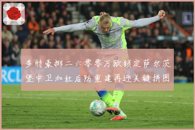 多特豪掷二六零零万欧锁定萨尔茨堡中卫加杜后防重建再迎关键拼图成长观察：最新赛事动态与深度分析